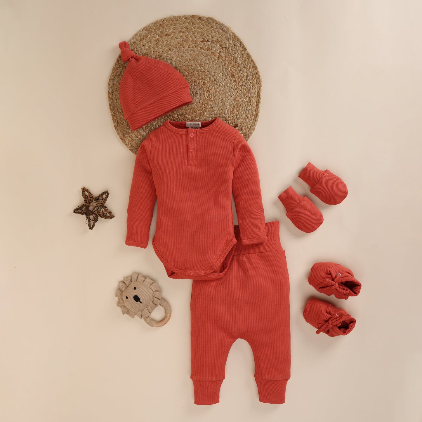 Berry Organic Full Sleeve Bodysuit - Pack Of 5