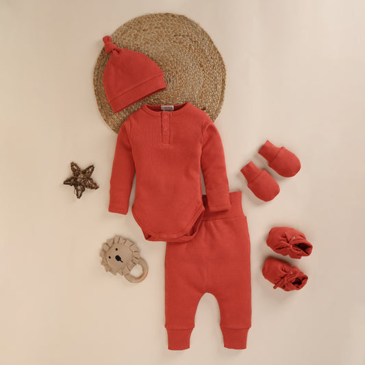 Berry Organic Full Sleeve Bodysuit - Pack Of 5