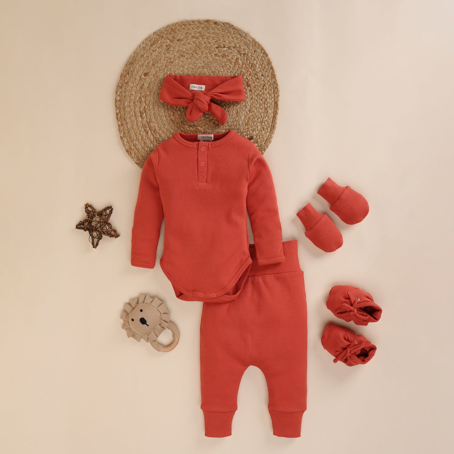 Pack Of 5 Berry Organic Full Sleeve Bodysuit