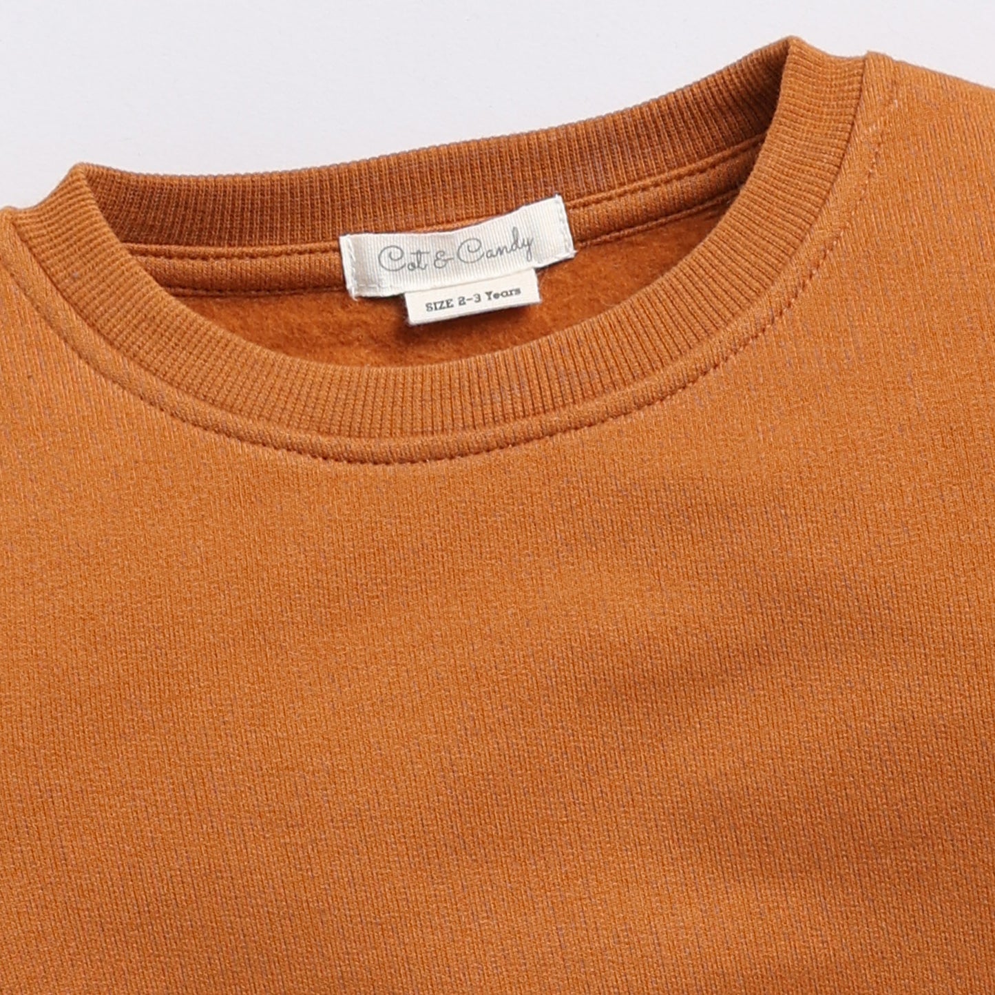 Pumpkin Spice Organic Fleece Oversized Sweatshirt