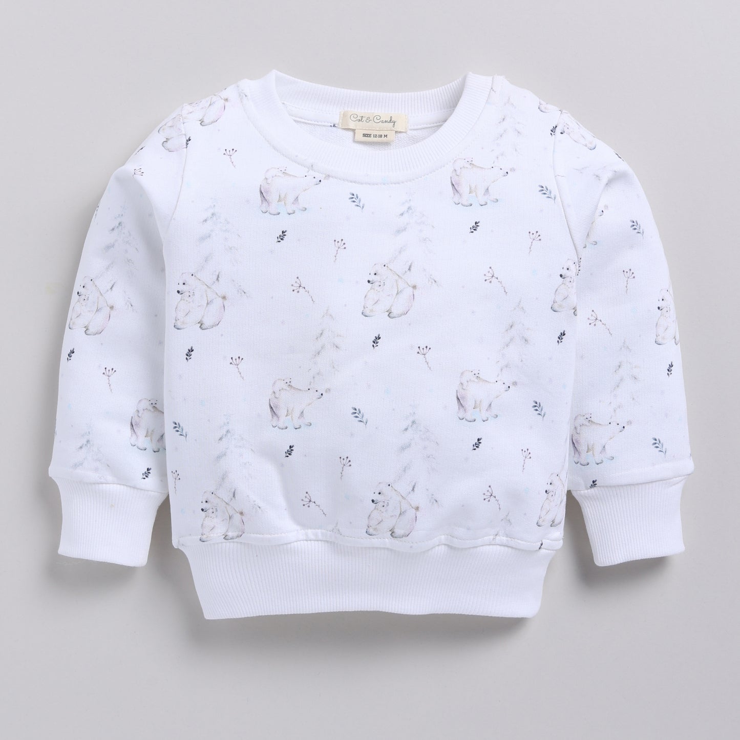 Buy Constellation Bear Organic Fleece Sweatshirt