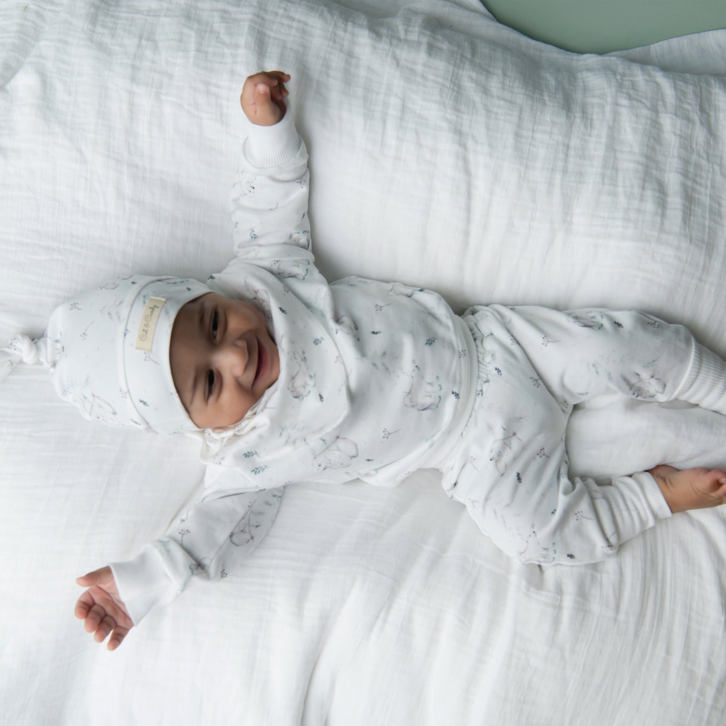 Order Constellation Bear Organic Fleece Sweatshirt & Jogger Set