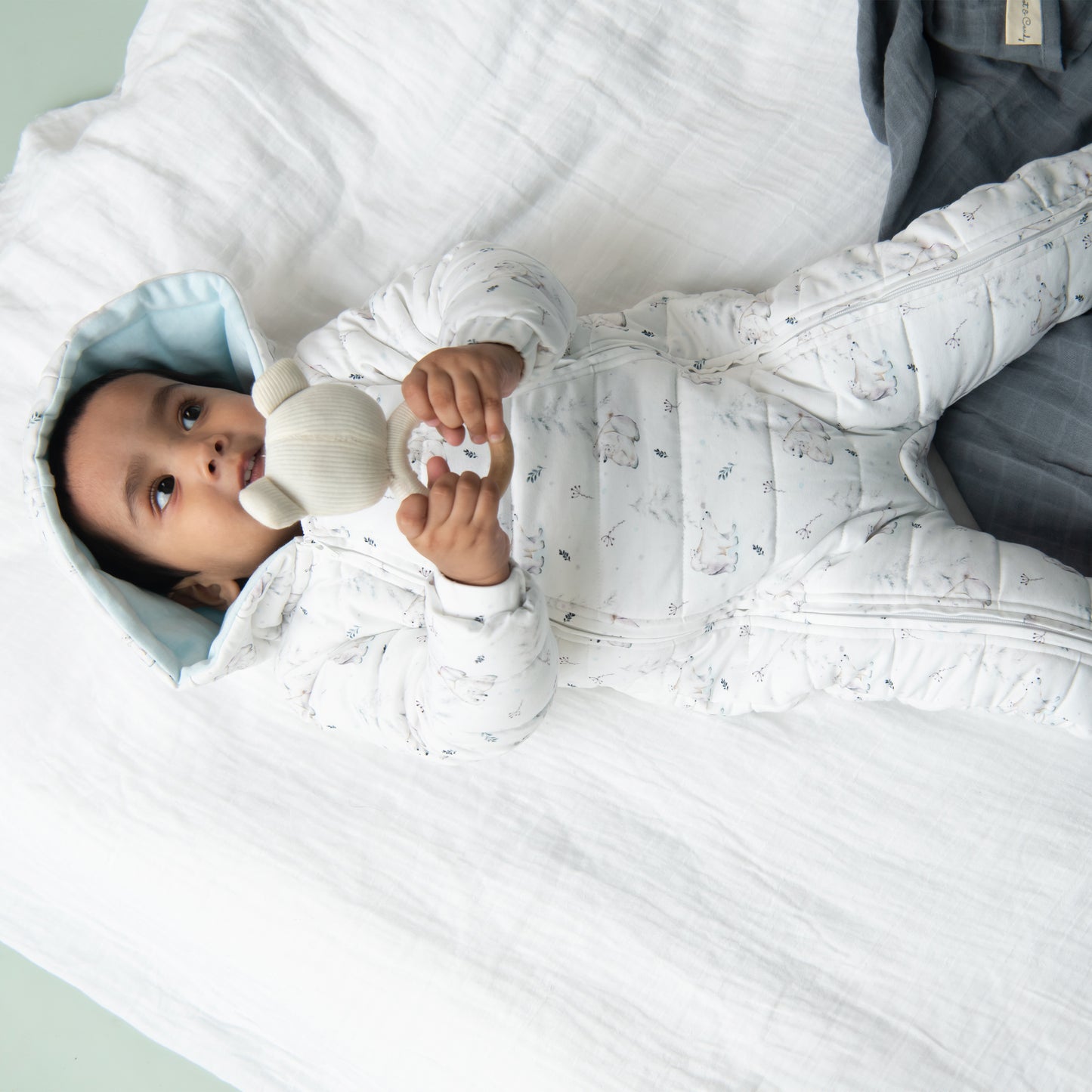 Buy Constellation Bear Baby Quilted Sleepsuit or snowsuit online