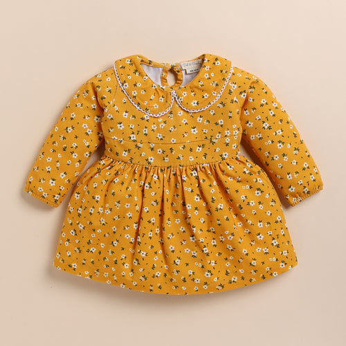 Shop Vintage Floral Organic Collar Dress for your 3-6 months baby - CotandCandyBaby