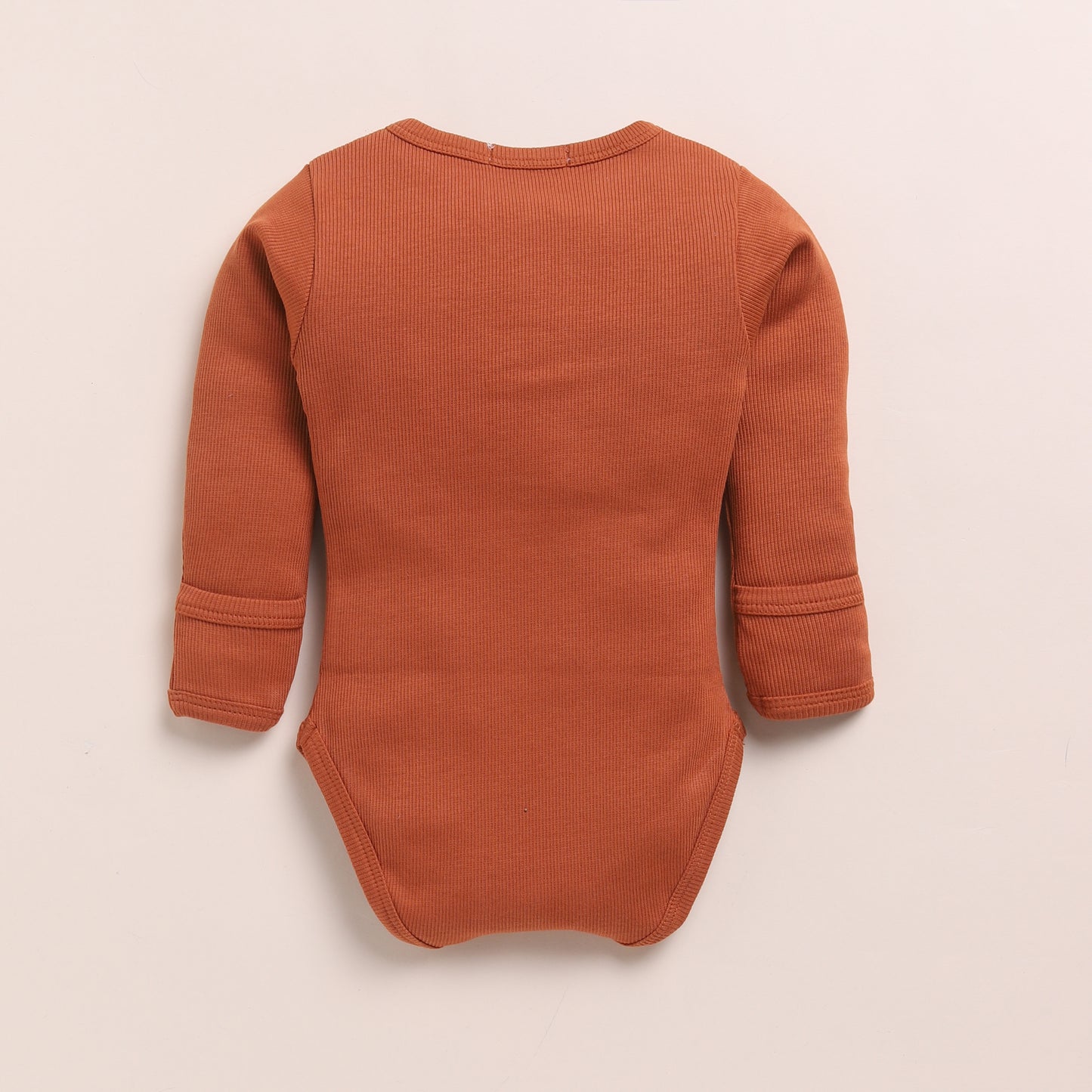 Ginger + Ginger Gingham Organic Long Sleeve Bodysuits - Pack of 2