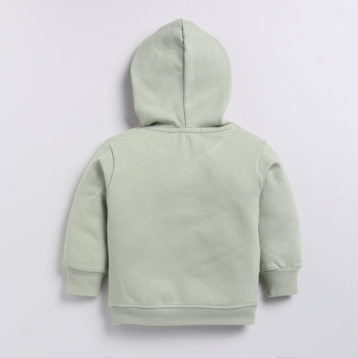 Buy tea color organic fleece hoodie & jogger set online for your 3-4 years baby - CotandCandyBaby