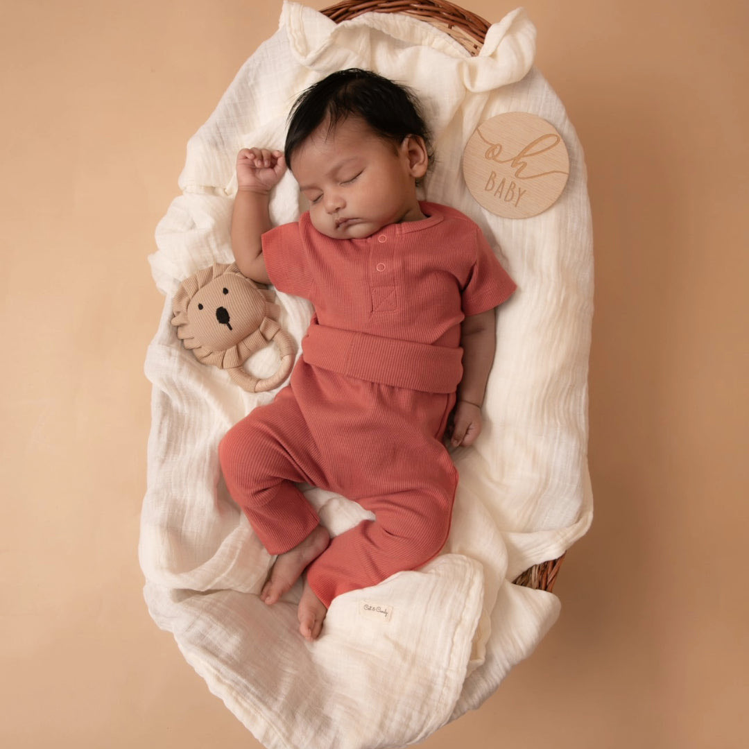 Berry Organic Short Sleeve Bodysuit With Leggings and Latte Rattle Toy