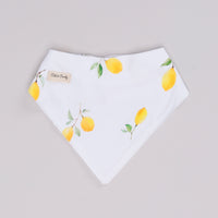 Load image into Gallery viewer, Lemon Love Collection Organic Dribble Bib
