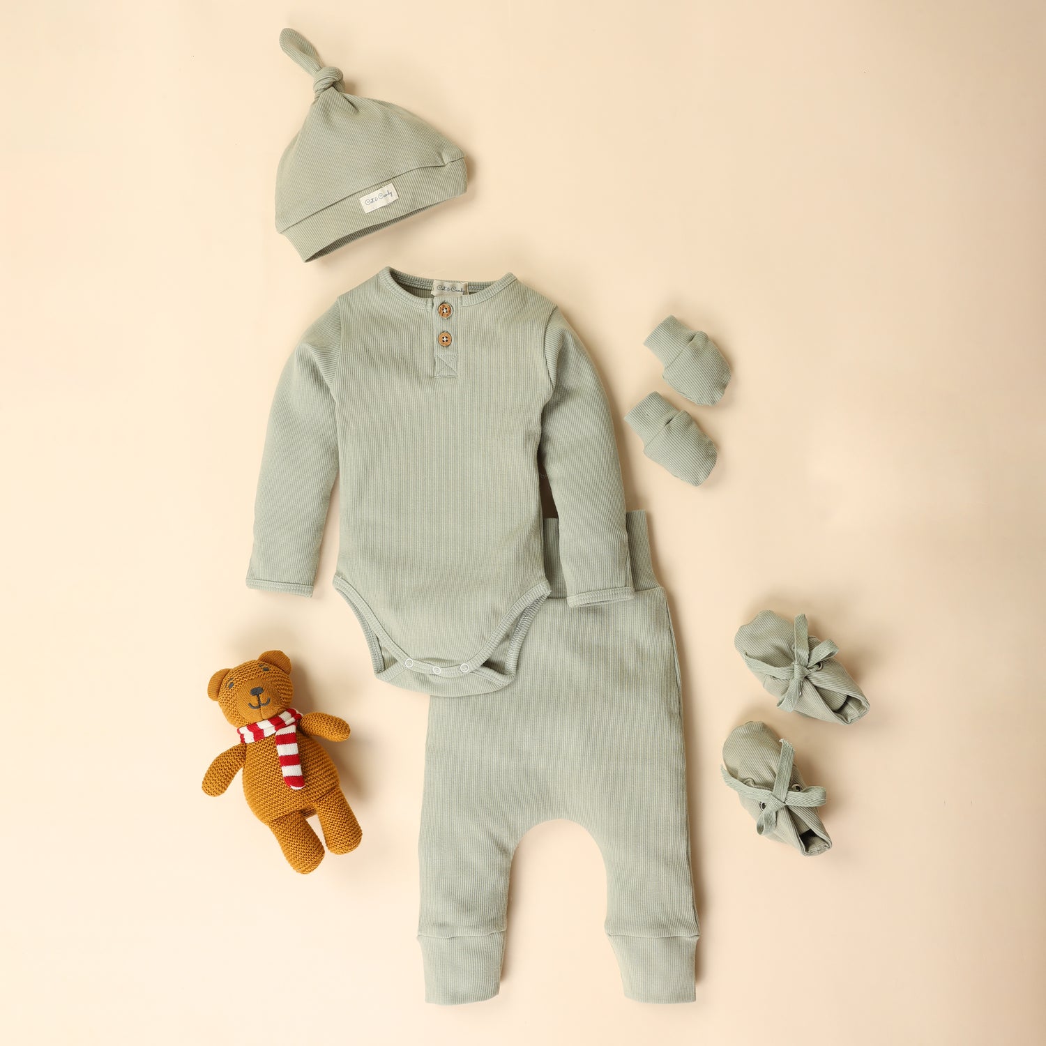 Sage Organic cotton long sleeve Full Sleeve Bodysuit - Pack Of 5