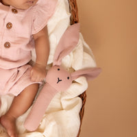 Load image into Gallery viewer, Baby Squeaky Toy - Blush Pink
